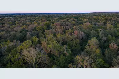 T-8 Providence Road, Calvert, TX 77837 - Photo 16