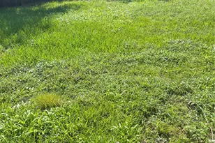 2308 Russell St, Houston, TX 77026 - Photo 4