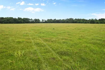 0 County Road 2084 Street, Liberty, TX 77575 - Photo 6