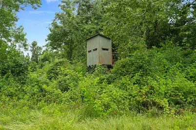 0 County Road 2084 Street, Liberty, TX 77575 - Photo 12