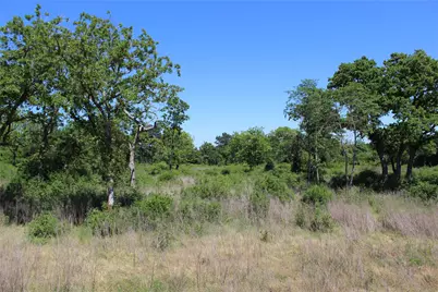 Tr 53 Pr 1315 Road, Centerville, TX 75833 - Photo 8
