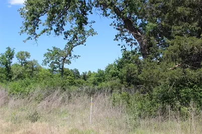 Tr 53 Pr 1315 Road, Centerville, TX 75833 - Photo 6