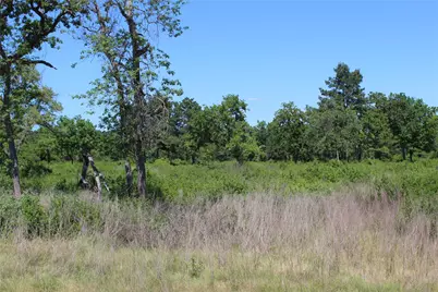 Tr 53 Pr 1315 Road, Centerville, TX 75833 - Photo 4
