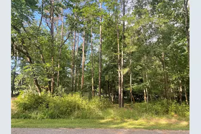 11 Crown Drive, Coldspring, TX 77331 - Photo 2