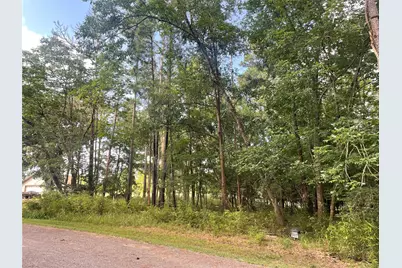 11 Crown Drive, Coldspring, TX 77331 - Photo 4
