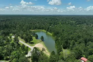 25175 Amanda Ln, Hockley, TX 77447 - Photo 6