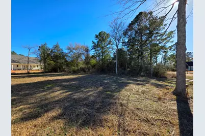 24887 Roscommon, Hempstead, TX 77445 - Photo 2