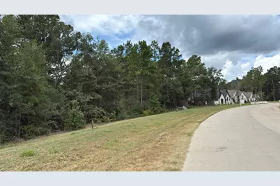 23725 Birch Grove Rd, Montgomery, TX 77316 - Photo 6