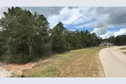 23725 Birch Grove Rd, Montgomery, TX 77316 - Photo 8