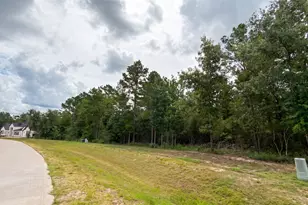 23725 Birch Grv Rd, Montgomery, TX 77316 - Photo 1