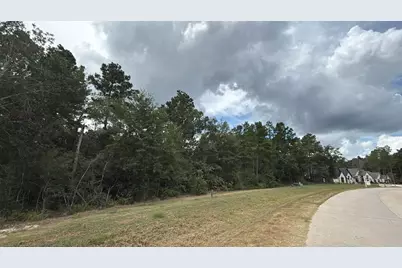 23725 Birch Grove Rd, Montgomery, TX 77316 - Photo 4