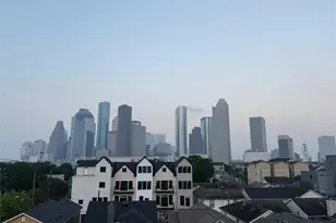 1107 Wilson St, Houston, TX 77019 - Photo 12