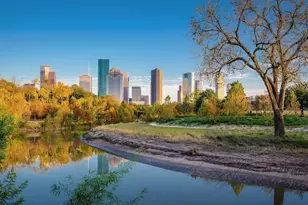 1107 Wilson St, Houston, TX 77019 - Photo 20