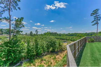 384 Mallorn Lane, Montgomery, TX 77316 - Photo 40