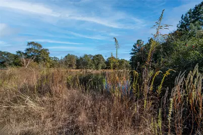 00 Fm-1774, Plantersville, TX 77363 - Photo 6