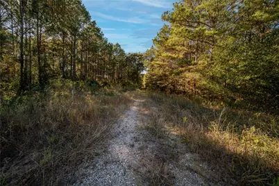 00 Fm-1774, Plantersville, TX 77363 - Photo 4