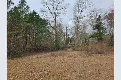 22647 Kelly Drive, Saratoga, TX 77585 - Photo 26