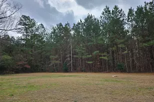 22647 Kelly Dr, Saratoga, TX 77585 - Photo 30