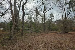 22647 Kelly Dr, Saratoga, TX 77585 - Photo 18