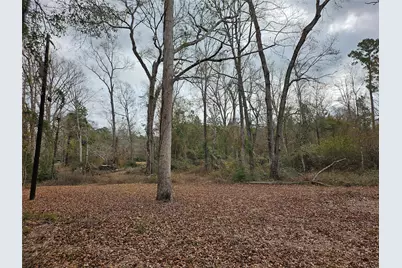 22647 Kelly Drive, Saratoga, TX 77585 - Photo 24