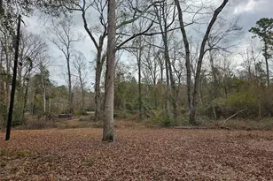 22647 Kelly Dr, Saratoga, TX 77585 - Photo 24