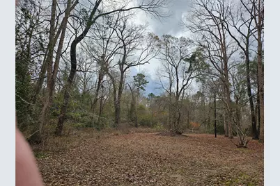 22647 Kelly Drive, Saratoga, TX 77585 - Photo 32