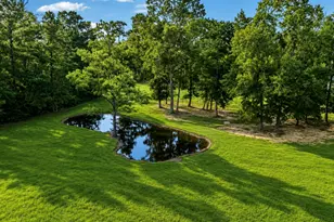 45 County Rd 2219, Cleveland, TX 77327 - Photo 38