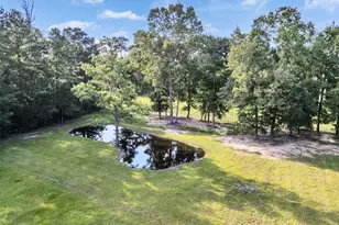 45 County Rd 2219, Cleveland, TX 77327 - Photo 34