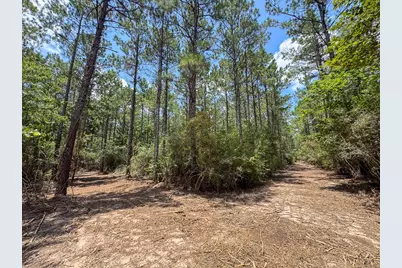 T-7 Benny Griffin Road, Livingston, TX 77351 - Photo 8