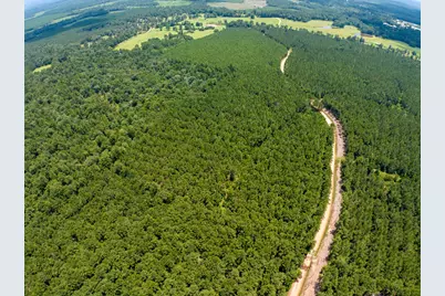 T-7 Benny Griffin Road, Livingston, TX 77351 - Photo 18