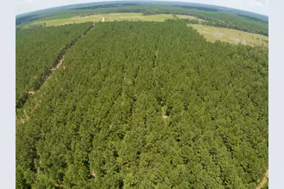 T-7 Benny Griffin Road, Livingston, TX 77351 - Photo 20