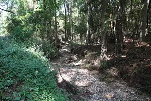 17551 W Fm 1097 Rd, Montgomery, TX 77356 - Photo 16