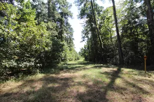 17551 W Fm 1097 Rd, Montgomery, TX 77356 - Photo 24