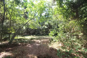 17551 W Fm 1097 Rd, Montgomery, TX 77356 - Photo 12