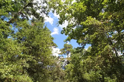 17551 W Fm 1097 Road, Montgomery, TX 77356 - Photo 22