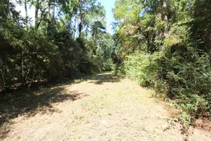 17551 W Fm 1097 Rd, Montgomery, TX 77356 - Photo 10
