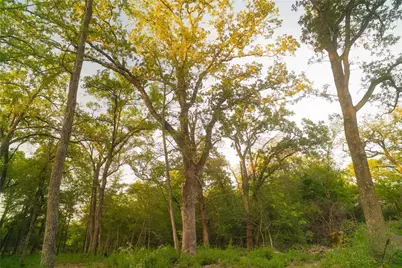 12424 Red Hill Rd Road, Hearne, TX 77859 - Photo 2