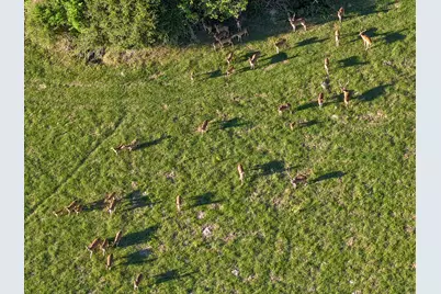 870 Fm 3188, Trinity, TX 75862 - Photo 46