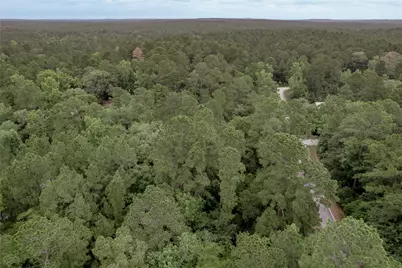 Lot 07 Oak Drive, Trinity, TX 75862 - Photo 28