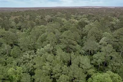 Lot 07 Oak Drive, Trinity, TX 75862 - Photo 30