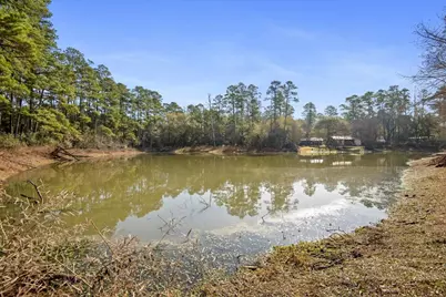 Tbd Cr 201 Road, Plantersville, TX 77363 - Photo 4