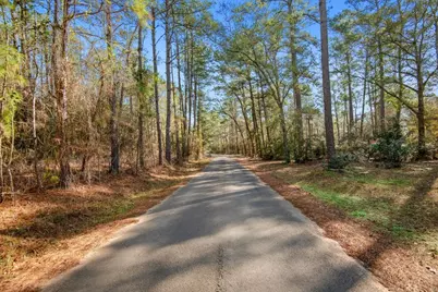 Tbd Cr 201 Road, Plantersville, TX 77363 - Photo 20