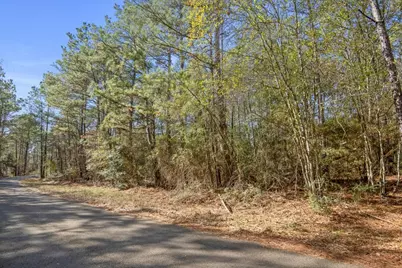 Tbd Cr 201 Road, Plantersville, TX 77363 - Photo 40