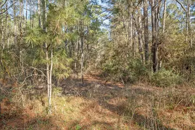 Tbd Cr 201 Road, Plantersville, TX 77363 - Photo 22