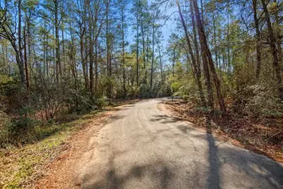 Tbd Cr 201 Road, Plantersville, TX 77363 - Photo 28