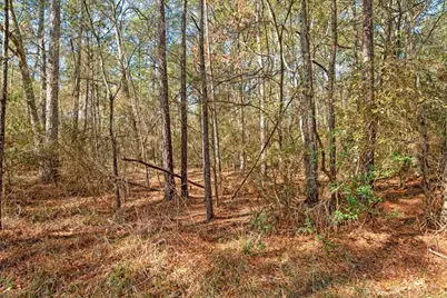 Tbd Cr 201 Road, Plantersville, TX 77363 - Photo 44