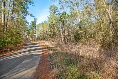 Tbd Cr 201 Road, Plantersville, TX 77363 - Photo 24