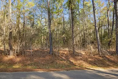 Tbd Cr 201 Road, Plantersville, TX 77363 - Photo 18