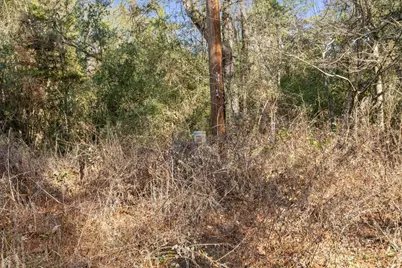 Tbd Cr 201 Road, Plantersville, TX 77363 - Photo 16