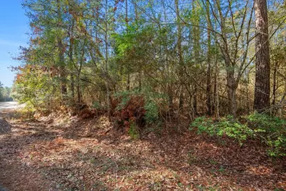 Tbd Cr 201 Road, Plantersville, TX 77363 - Photo 34